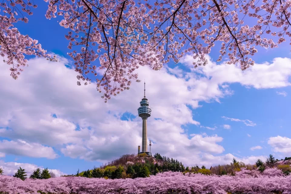 View of E-World 83 Tower in Seoul, South Korea through branches full of white and pink cherry blossoms.